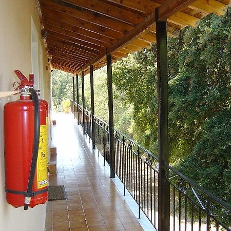 Reggis Apartments Dassia (Corfu) Exterior foto